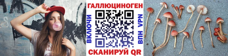 Псилоцибиновые грибы прущие грибы  shop телеграм  Ужур 