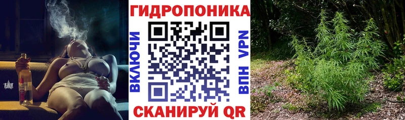 цена наркотик Ужур Бошки Шишки Bruce Banner